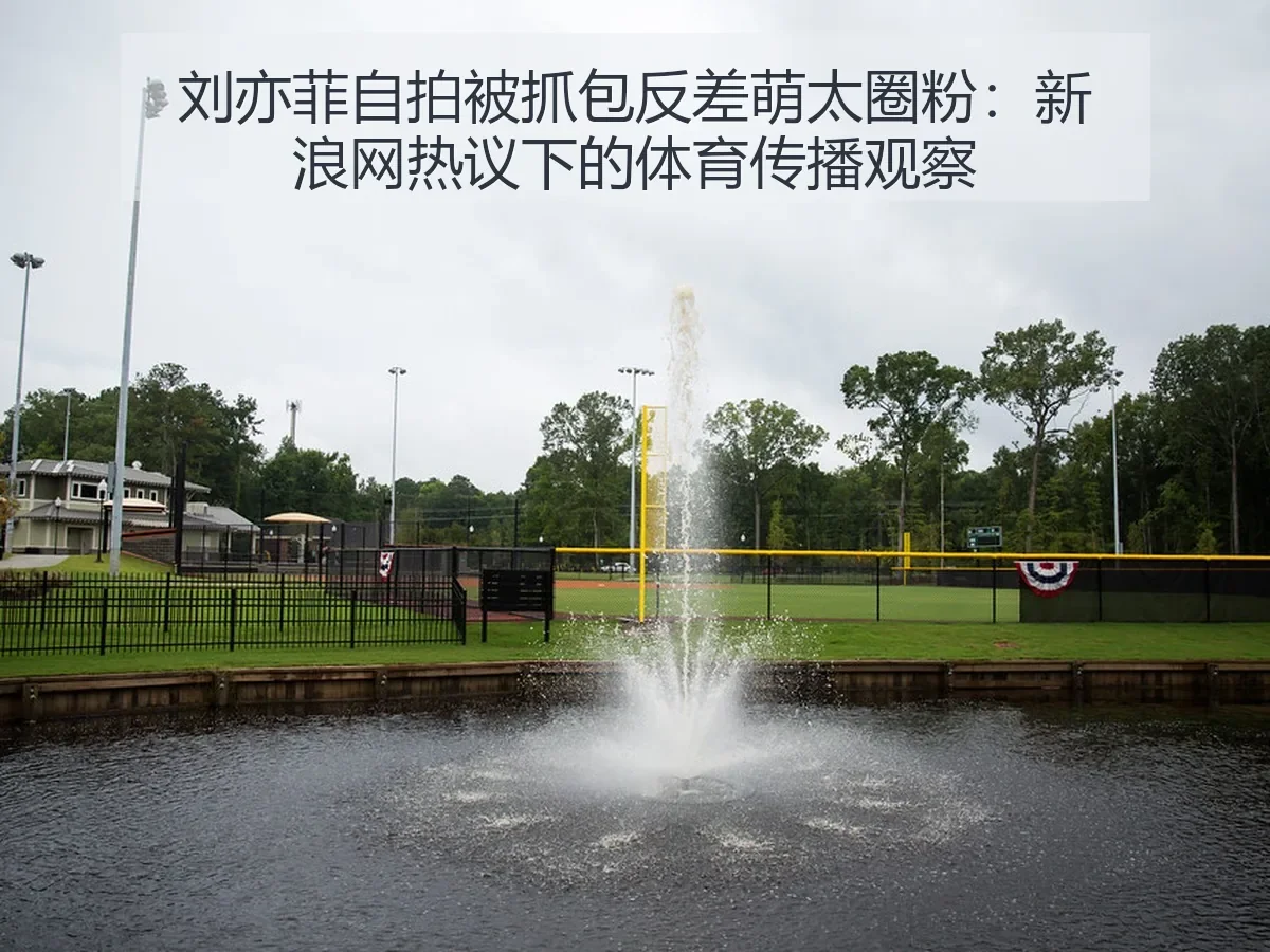 刘亦菲自拍被抓包反差萌太圈粉：热议下的体育传播观察